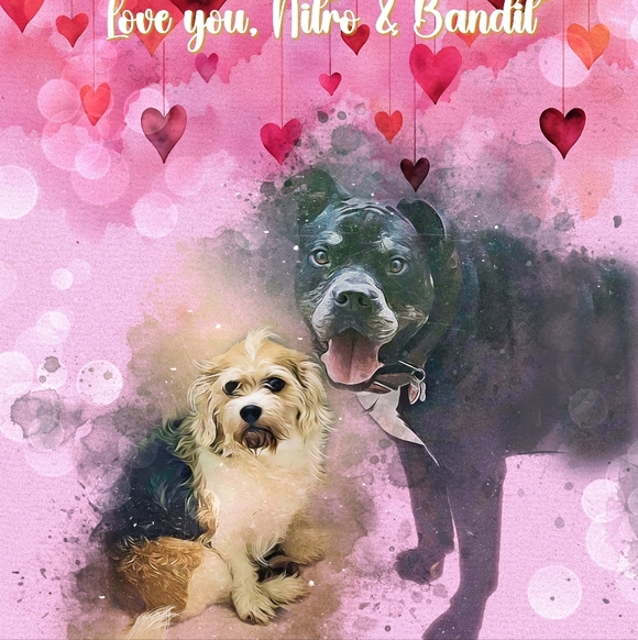 !! GIFTS !! RANDOMNESS GIFTs MARCH2026 - Picture 6 of 15